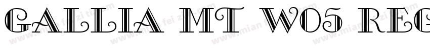 Gallia MT W05 Regular字体转换